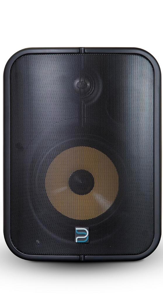 2 stuks Bleusound bsp1000 Actieve netwerk speakers, Audio, Tv en Foto, Luidsprekers, Nieuw, Overige typen, 60 tot 120 watt, Overige merken