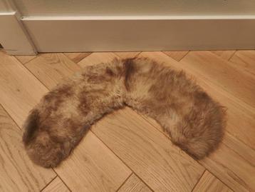 Superarno bontkraag beschikbaar voor biedingen