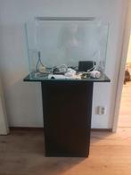 Wegens overcompleet aquarium 50x35x35 cm teab, Dieren en Toebehoren, Ophalen, Leeg aquarium