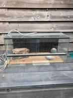 Terrarium inclusief enkele accesoires, Ophalen, Zo goed als nieuw, Terrarium of Paludarium