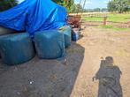Hooibalen, Dieren en Toebehoren, Stalling en Weidegang, Weidegang