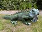 (Tuin)Beeld Leguaan, tuin, zwembad, vijver, salamander 100cm, Ophalen, Nieuw, Kunststof, Dierenbeeld