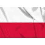 Vlag Polen, Verzamelen, Militaria | Algemeen, Info@dumpshop.nl, Benschop, Overige soorten, Ophalen of Verzenden