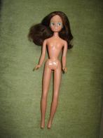 Daisy mary quant met  kastanje bruin haar UK, Verzamelen, Verzenden, Gebruikt, Pop