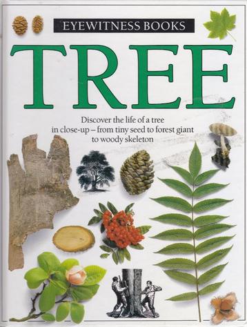 Tree beschikbaar voor biedingen