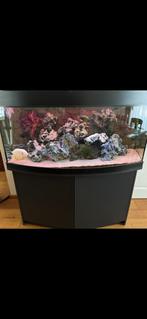 Aquarium met veel extra’s, Ophalen, Zo goed als nieuw, Gevuld zoetwateraquarium