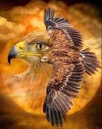 Diamond Painting 50x40 Volledig te Beplakken, Ophalen of Verzenden, Diamond painting world 2021, Diamond painting world 2021@gmail.com