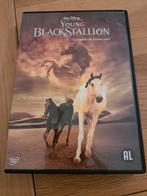 Dvd wild young black stallion disney Verzendkosten moet ik, Alle leeftijden, Ophalen of Verzenden, Gebruikt