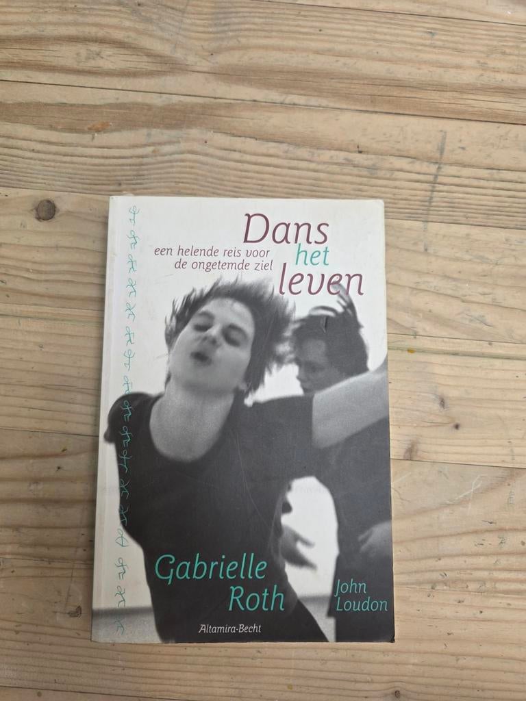 Dans het leven: een helende reis voor de ongetemde ziel, Gelezen, Achtergrond en Informatie, Spiritualiteit algemeen, Ophalen of Verzenden