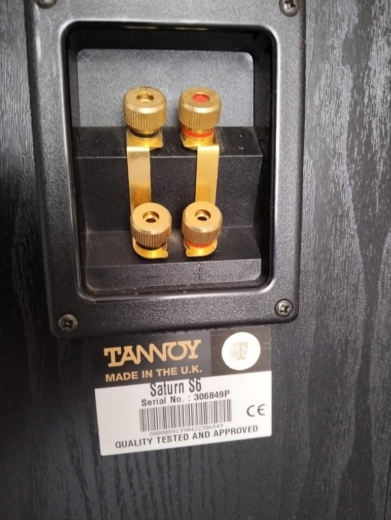 Tannoy luidsprekers type saturn s6, Ophalen, Zo goed als nieuw, Front, Rear of Stereo speakers, Overige merken