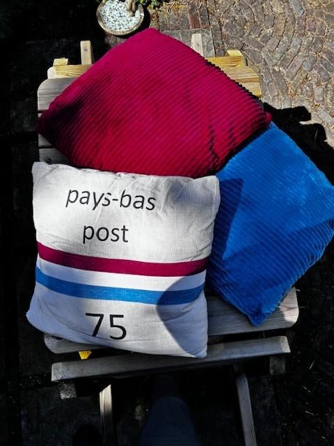 Drie kussens blauw rood beige met print, Huis en Inrichting, Woonaccessoires | Kussens, Ophalen, Zo goed als nieuw, Blauw, Vierkant