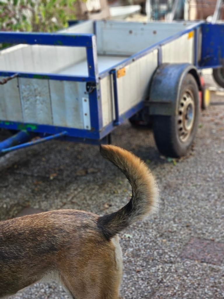 Goede gebruikte  aanhanger, Ophalen, Gebruikt