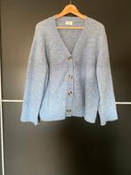 VEST AXIOME WOL LICHTBLAUW maat L, Kleding | Dames, Truien en Vesten, Maat 38/40 (M), Blauw, Axiome, Ophalen of Verzenden