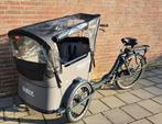 Babboe curve elektrische bakfiets met extra's, Fietsen en Brommers, Fietsen | Bakfietsen, Ophalen of Verzenden, Gebruikt, 4 kinderen of meer