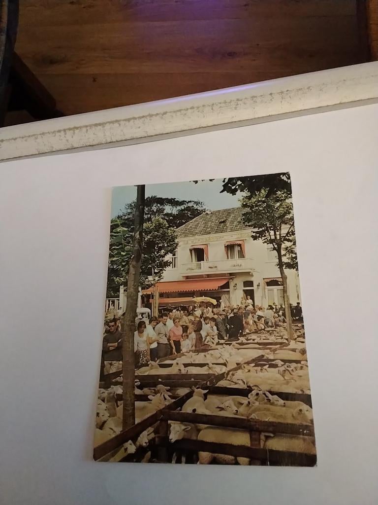 DEN BURG. TEXEL.  LAMMERENMARKT. 1971, Ophalen of Verzenden, 1960 tot 1980, Waddeneilanden