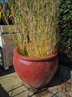 bloempot, Tuin en Terras, Ophalen of Verzenden, Rond, Minder dan 30 cm