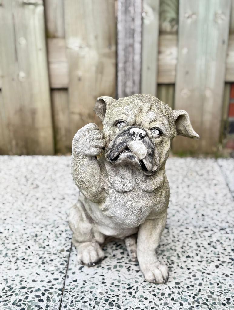 Leuke bulldog tuindecoratie, Ophalen of Verzenden, Gebruikt, Beton, Dierenbeeld