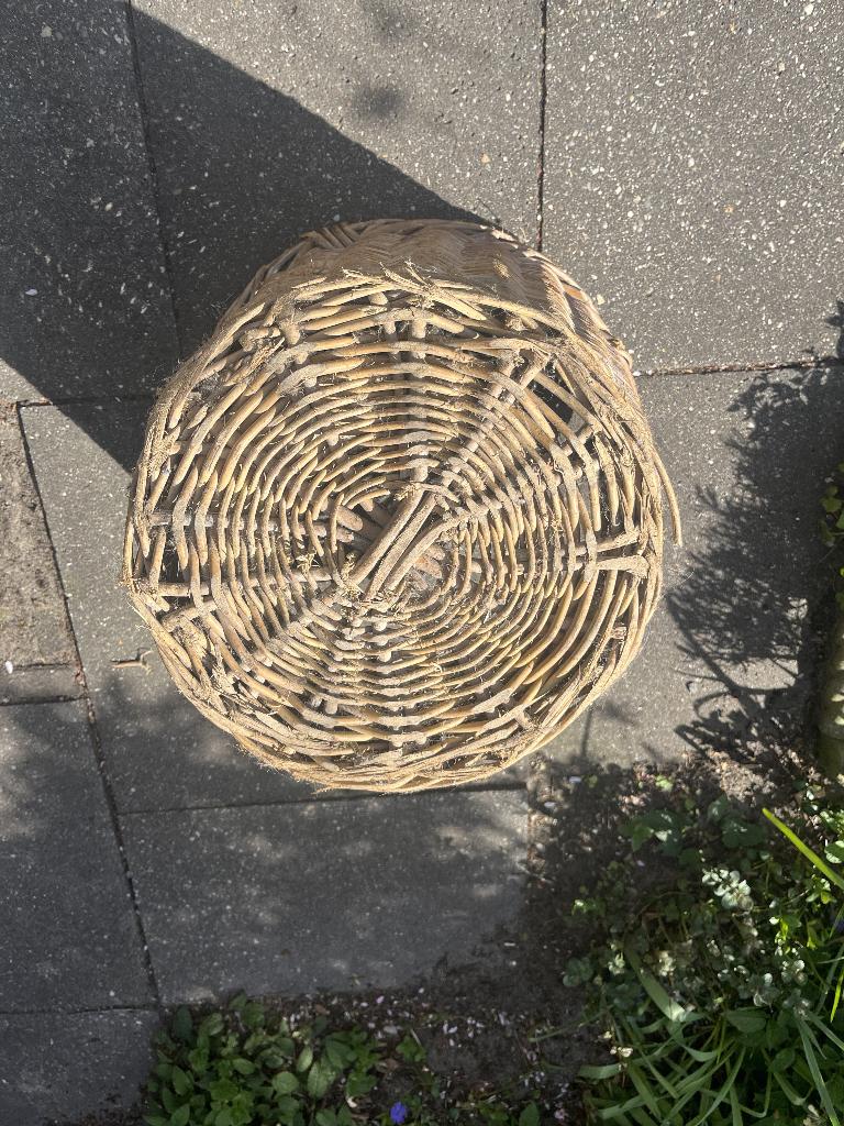 Klassieke Bloembollenmand, Antiek en Kunst, Ophalen of Verzenden