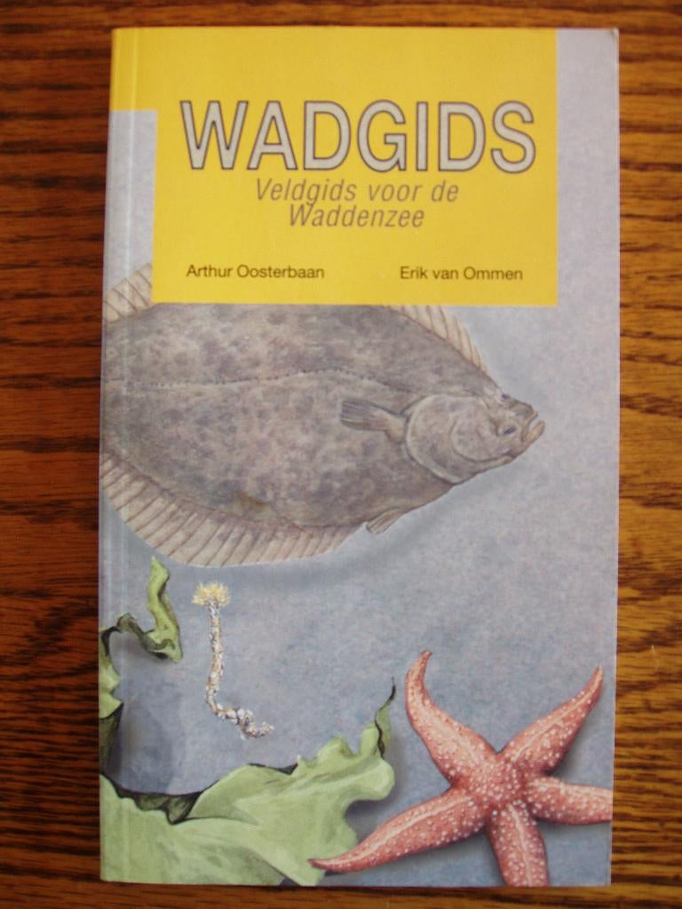 Wadgids: veldgids voor de Waddenzee. E v Ommen & Oosterbaan, Zo goed als nieuw, Vogels, Ophalen of Verzenden, E van Ommen & Oosterbaan