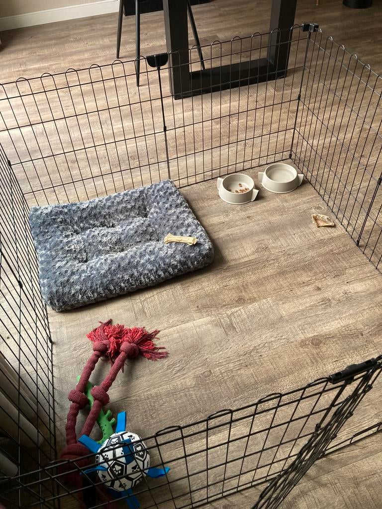 Puppie/hondenren, Ophalen, Zo goed als nieuw