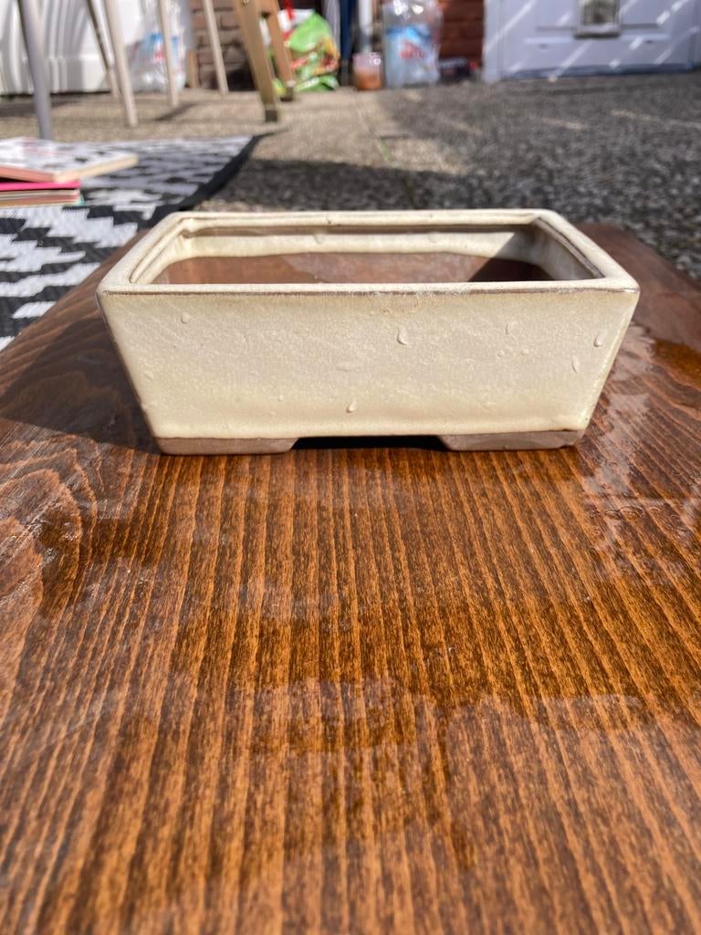 Bonsaischaal / bonsai poit geglazuurd, Steen, Minder dan 30 cm, Minder dan 60 cm, Vierkant