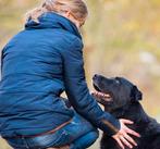 Hondenoppas/opvang hond/oppas, Dieren en Toebehoren, Ophalen of Verzenden