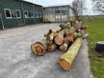 Brandhout stamhout kachelhout stammen, Tuin en Terras, Haardhout, 6 m³ of meer, Ophalen, Stammen