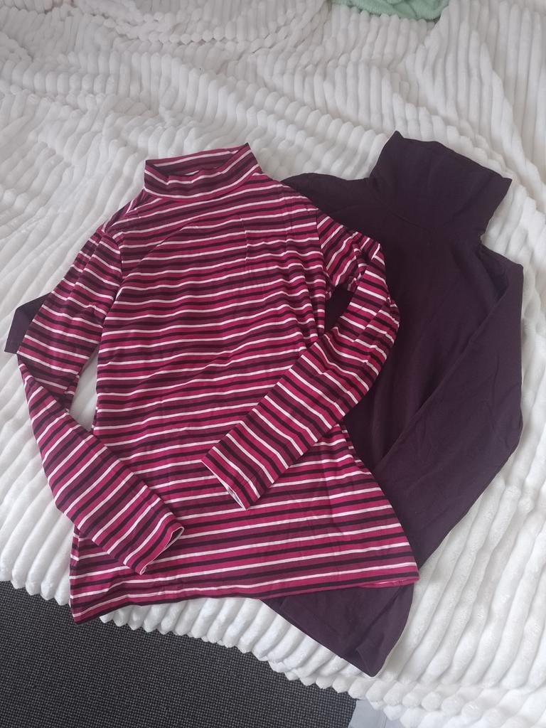 Nieuwe coltruien dames, Ophalen of Verzenden, Nieuw, Maat 38/40 (M)