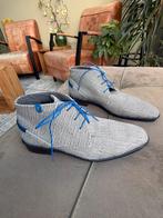 Stijlvolle herenschoenen- Floris van Bommel Maat 42, Kleding | Heren, Schoenen, Overige kleuren, Ophalen of Verzenden, Zo goed als nieuw