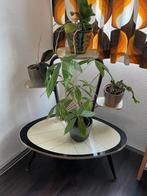 Vintage plantentafel - bijzet tafel jaren 70, Ophalen, Overige materialen, Gebruikt, Vintage