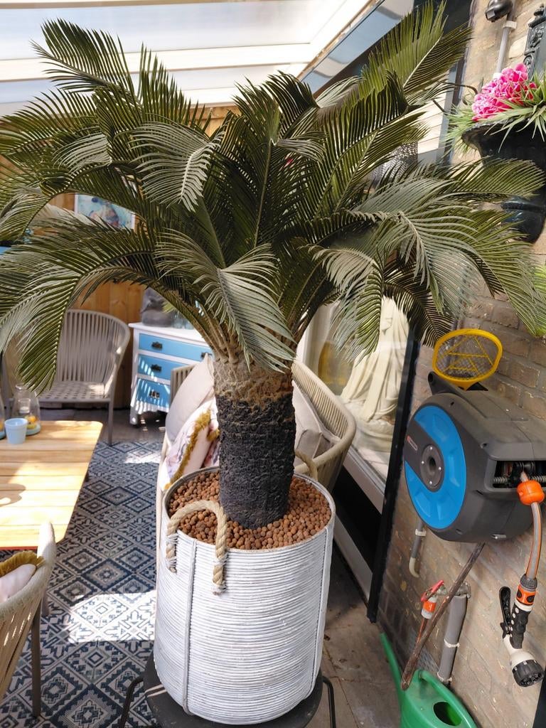 Kunstplant, Tuin en Terras, Ophalen, Bloeit niet, Overige soorten, Volle zon