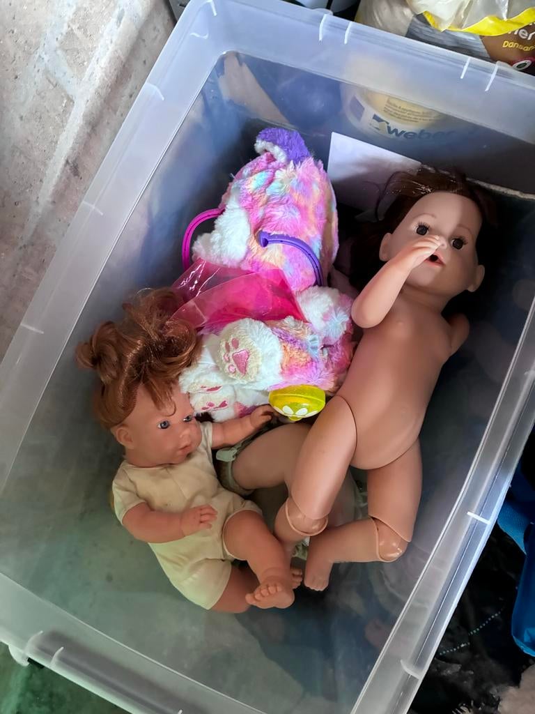 Rommelmarkt / koningsdag spullen, Ophalen, Gebruikt