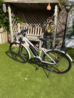 Riese en muller Roadster mt 50, Fietsen en Brommers, Elektrische fietsen, Zo goed als nieuw, 51 tot 55 cm, 50 km per accu of meer