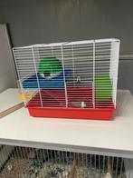 1 Hamster kooi merk Ferplast, Kooi, Minder dan 75 cm, Zo goed als nieuw, Hamster