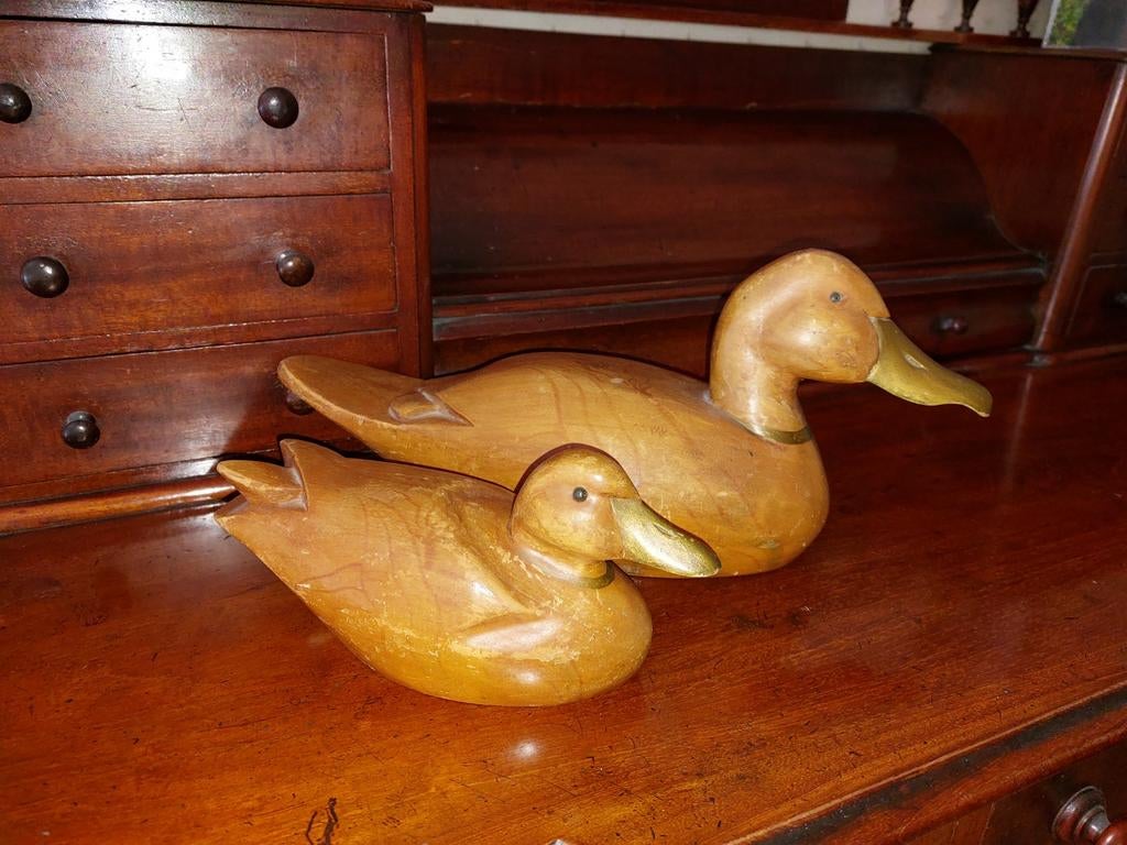 2 houten lok eenden, Ophalen of Verzenden, Gebruikt, Dier