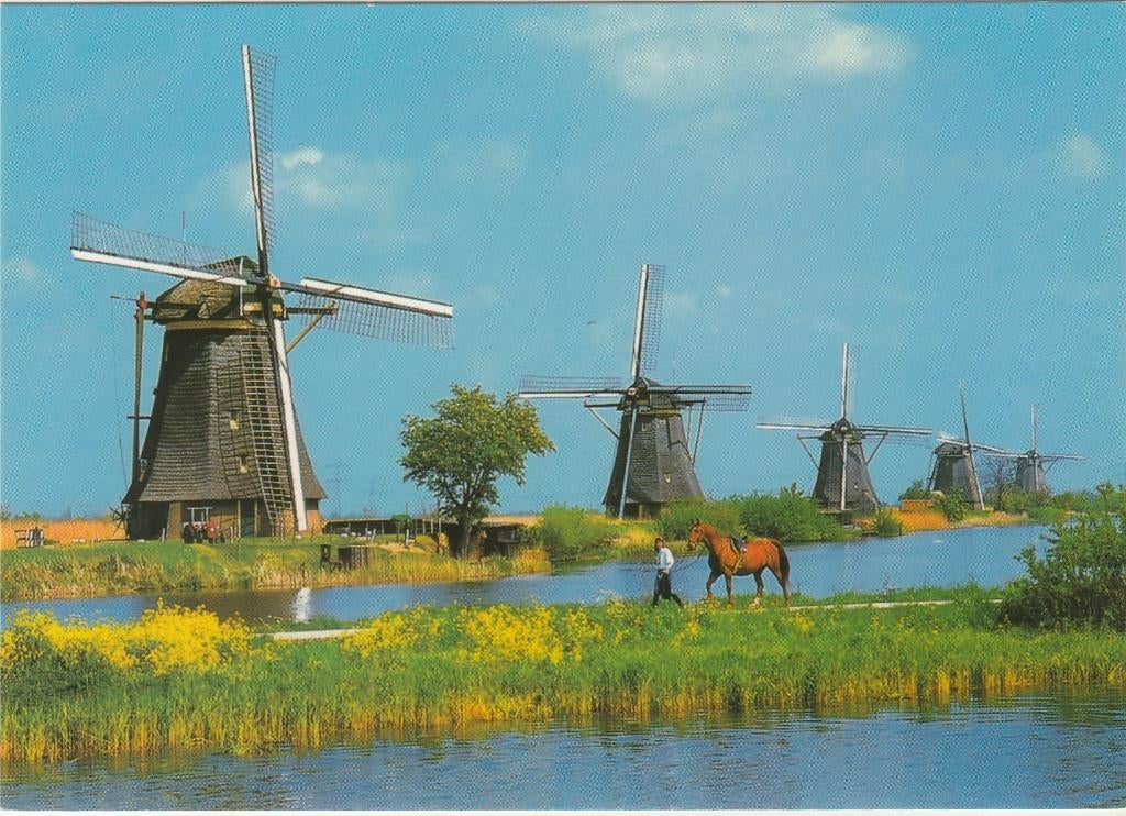 KINDERDIJK Molens met Paard, Verzenden, 1980 tot heden, Ongelopen, Zuid-Holland