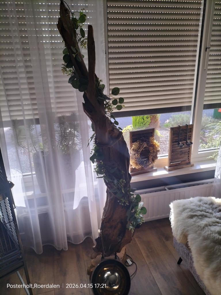 Unieke decoratieve boomstam, Ophalen, Gebruikt, Rustiek, Natuurlijk, Modern, Landelijk, Overige materialen