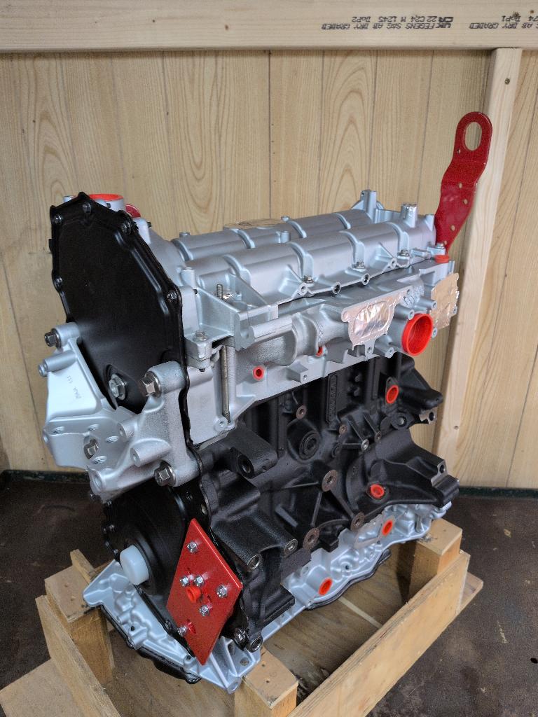 2.0 EcoBlue Ford Transit Revisie motor, Ophalen of Verzenden, Gereviseerd, Ford