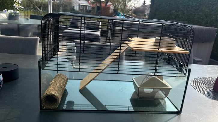 Prachtige Hamsterkooi (Vision 51) met glazen bak, Dieren en Toebehoren, Knaagdieren en Konijnen | Hokken en Kooien, Zo goed als nieuw
