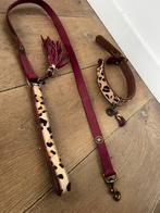 Dog with a mission - DWAM riem en halsband - Loulou, Ophalen of Verzenden, Zo goed als nieuw