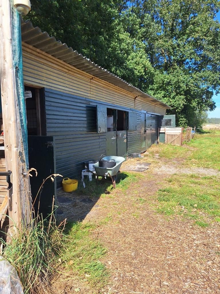 Unieke Paardenlocatie te huur met stalling en weide gang, Weidegang, 4 paarden of pony's of meer