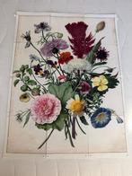 Ixxi met bloemenprint, Ophalen