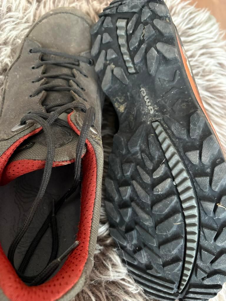 Lowa Renegade III GTX LO wandelschoenen maat 47, Ophalen of Verzenden, Gebruikt, Schoenen