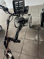 Van Raam Easy Rider 2 Ocean grijs (2020) met silent Electro, Fietsen en Brommers, Fietsen | Driewielfietsen, Ophalen of Verzenden