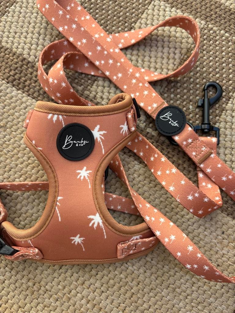 NIEUW XS harnasje / tuigje boho / bohemian met riem hond, Dieren en Toebehoren, Honden-accessoires, Ophalen of Verzenden, Nieuw