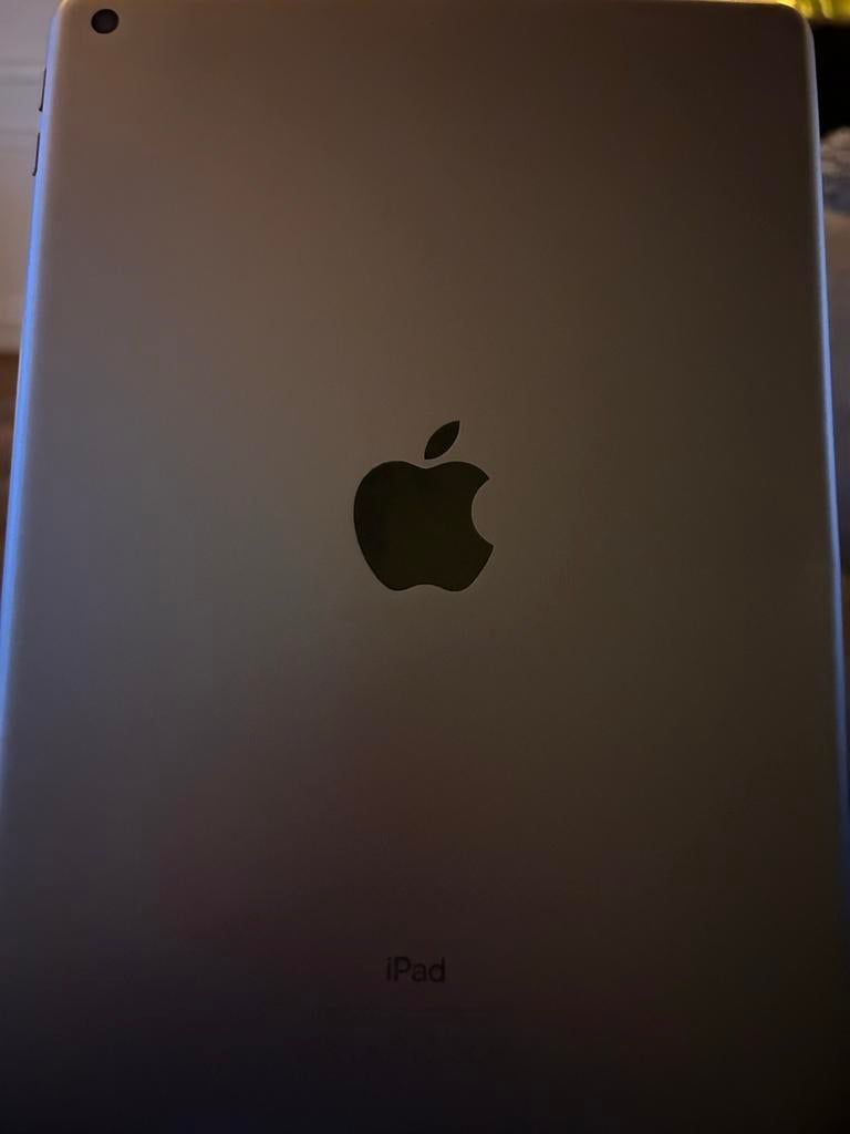 Apple iPad, Computers en Software, Apple iPads, Ophalen, Gebruikt, Zilver, Apple iPad
