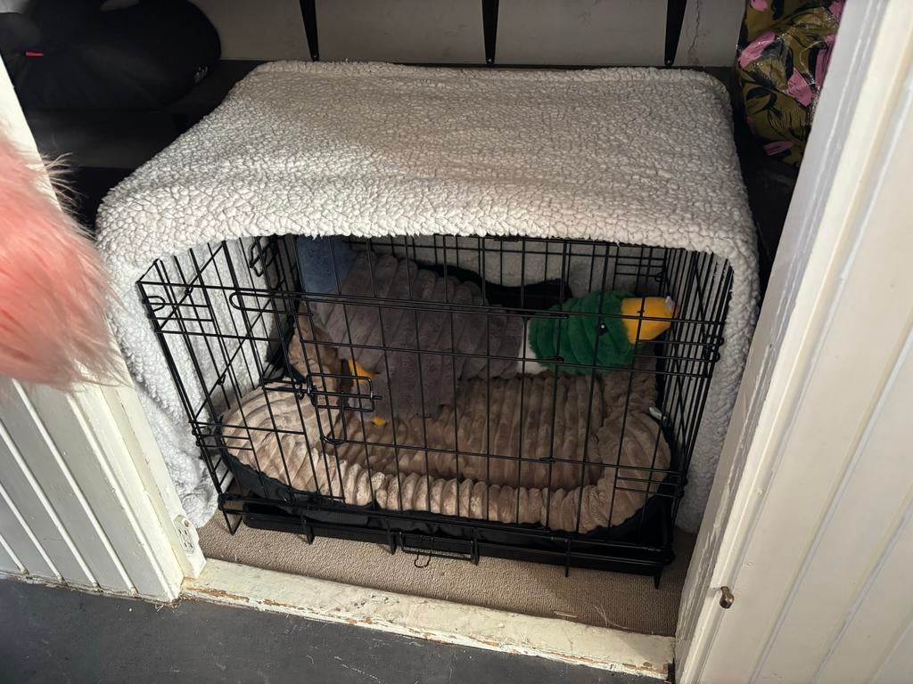 Bench, Ophalen of Verzenden, Zo goed als nieuw