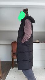 Long Tall Sally lange bodywarmer, maat 38, helemaal nieuw, Kleding | Dames, Long Tall Sally, Ophalen, Nieuw, Maat 38/40 (M)