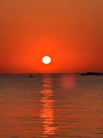 Partime, online Collega gezocht ‼️, Starter, Overige vormen, MBO, Geschikt als bijbaan