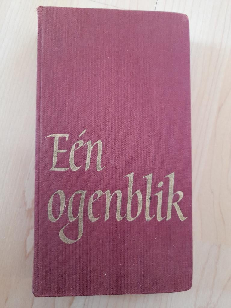 EEN OGENBLIK H Giesen EEN BIJBELWOORD VOOR IEDERE DAG, Boeken, Ophalen of Verzenden, Gelezen